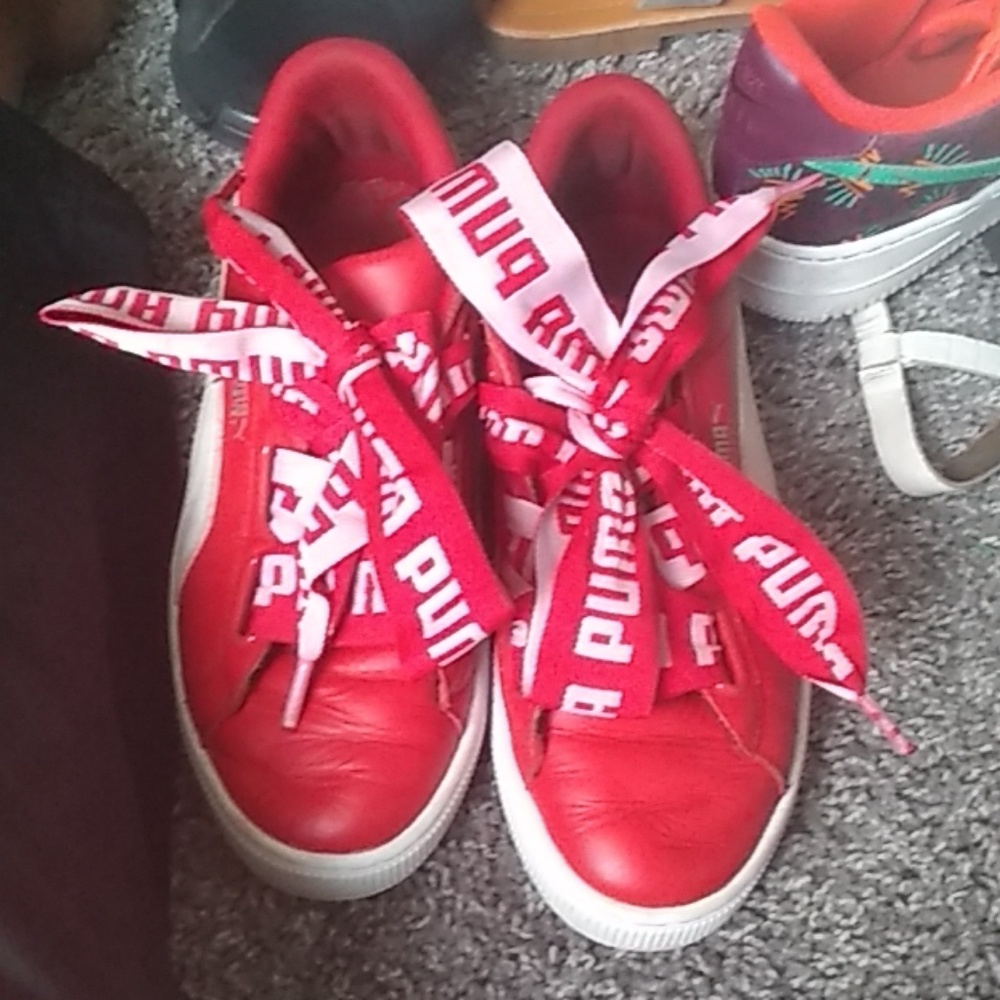 Pumas with bow